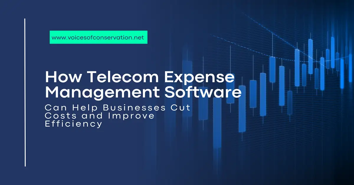 Expense Management Software